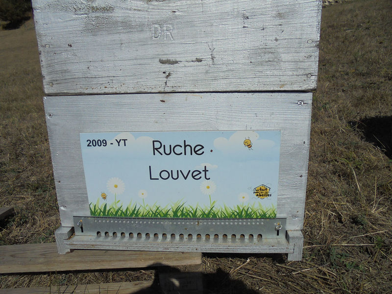 La ruche Louvet