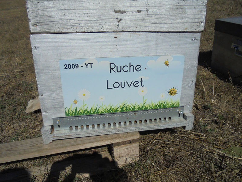 La ruche Louvet