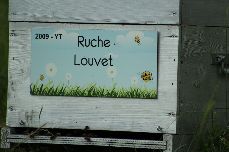 La ruche Louvet