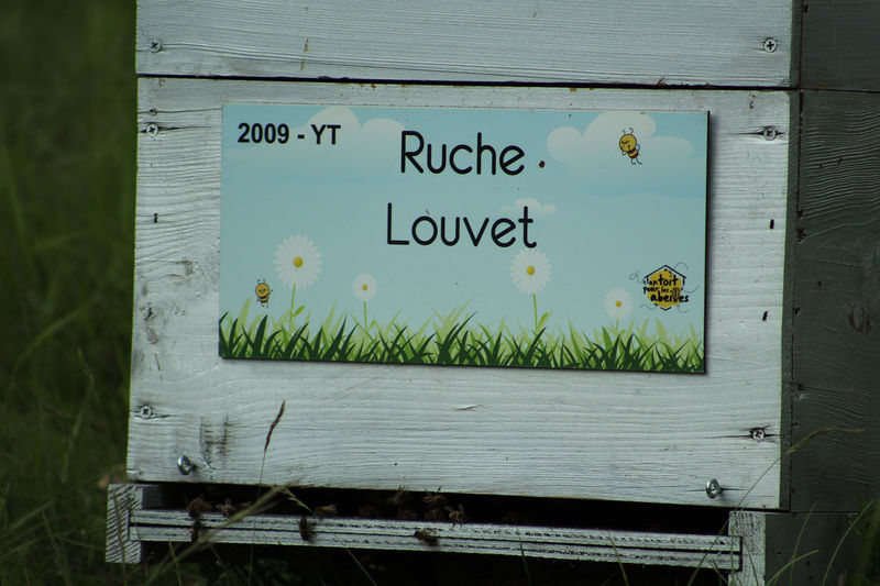 La ruche Louvet