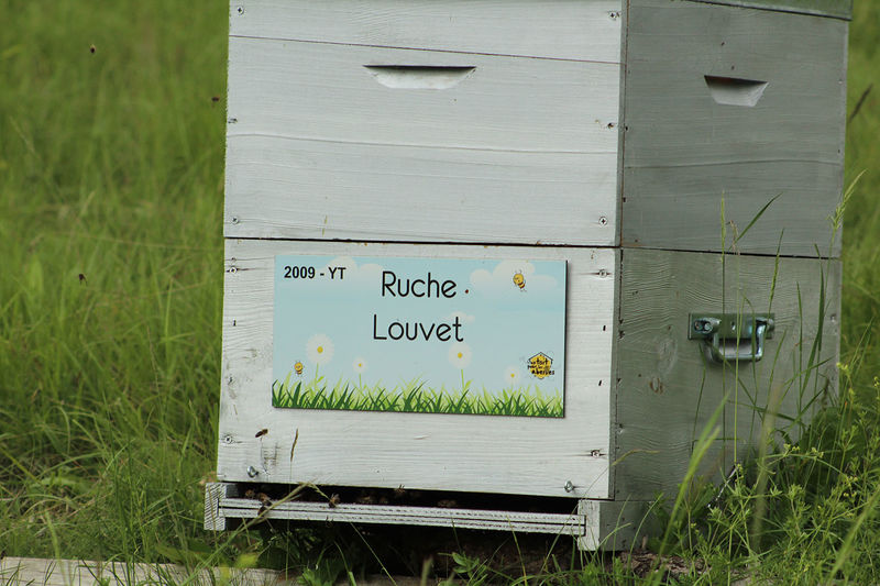 La ruche Louvet