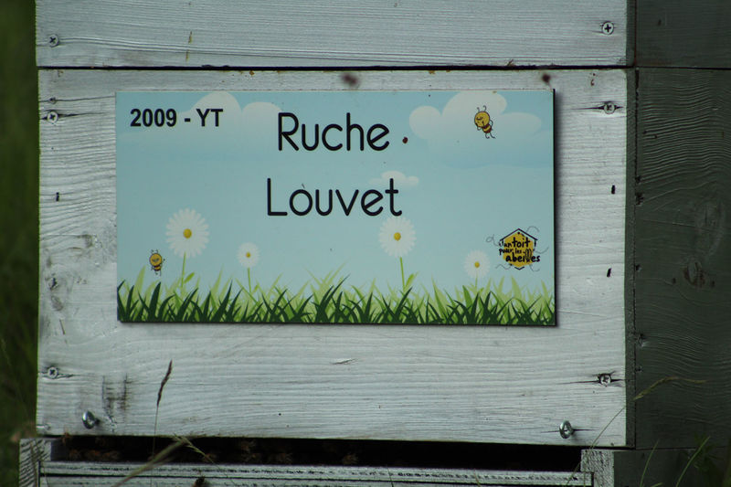 La ruche Louvet