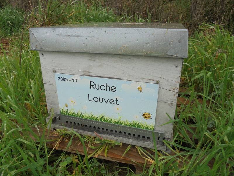 La ruche Louvet