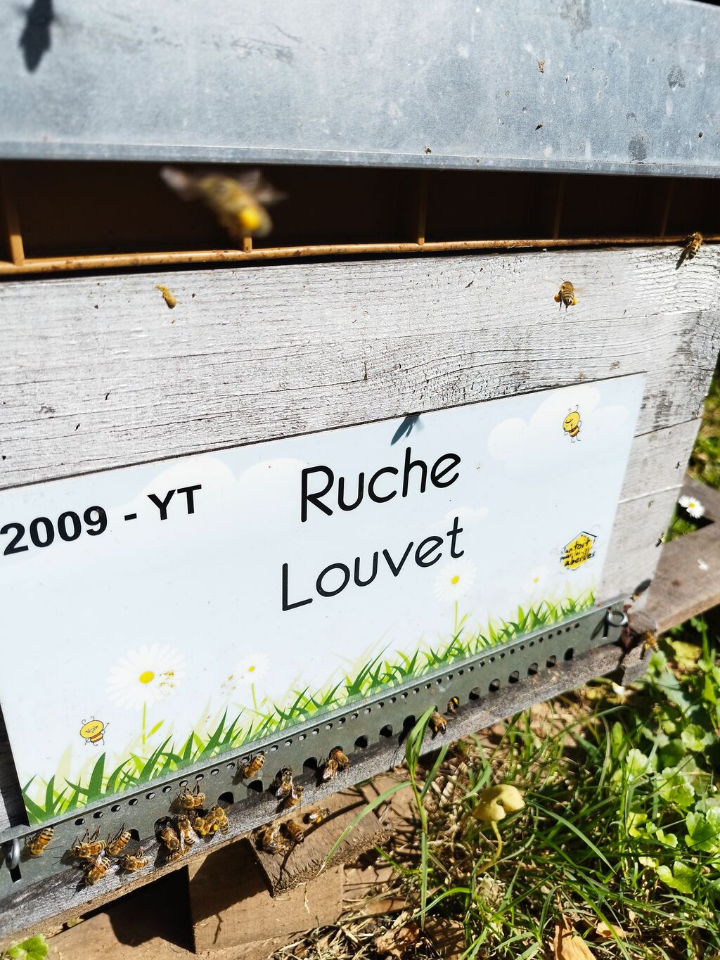 La ruche Louvet