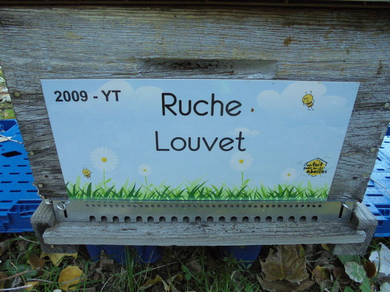 La ruche Louvet