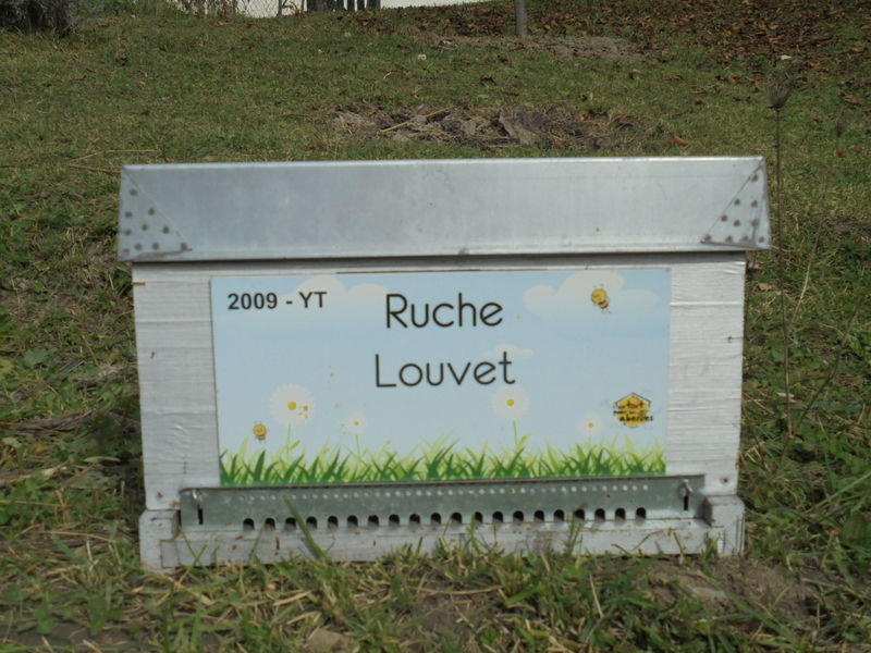 La ruche Louvet