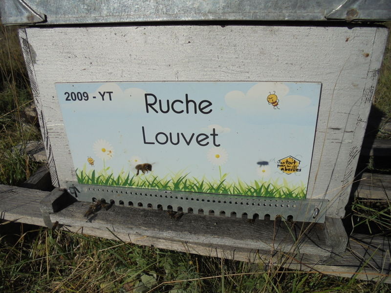 La ruche Louvet