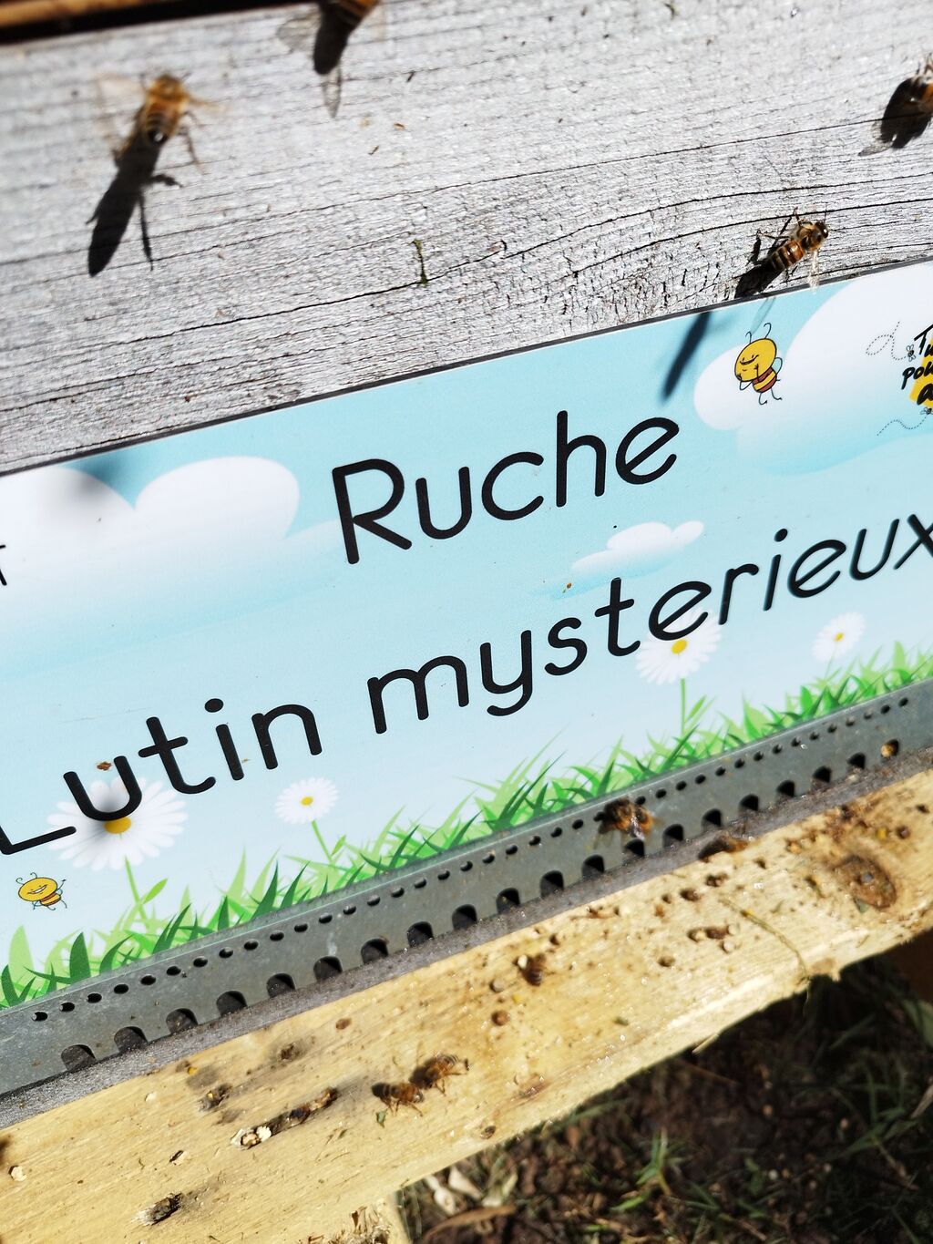 La ruche Louvet
