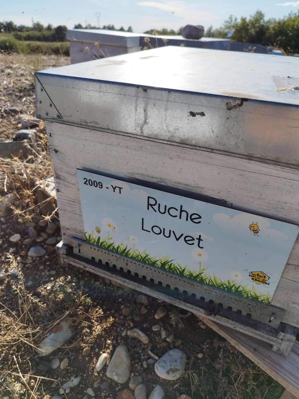 La ruche Louvet