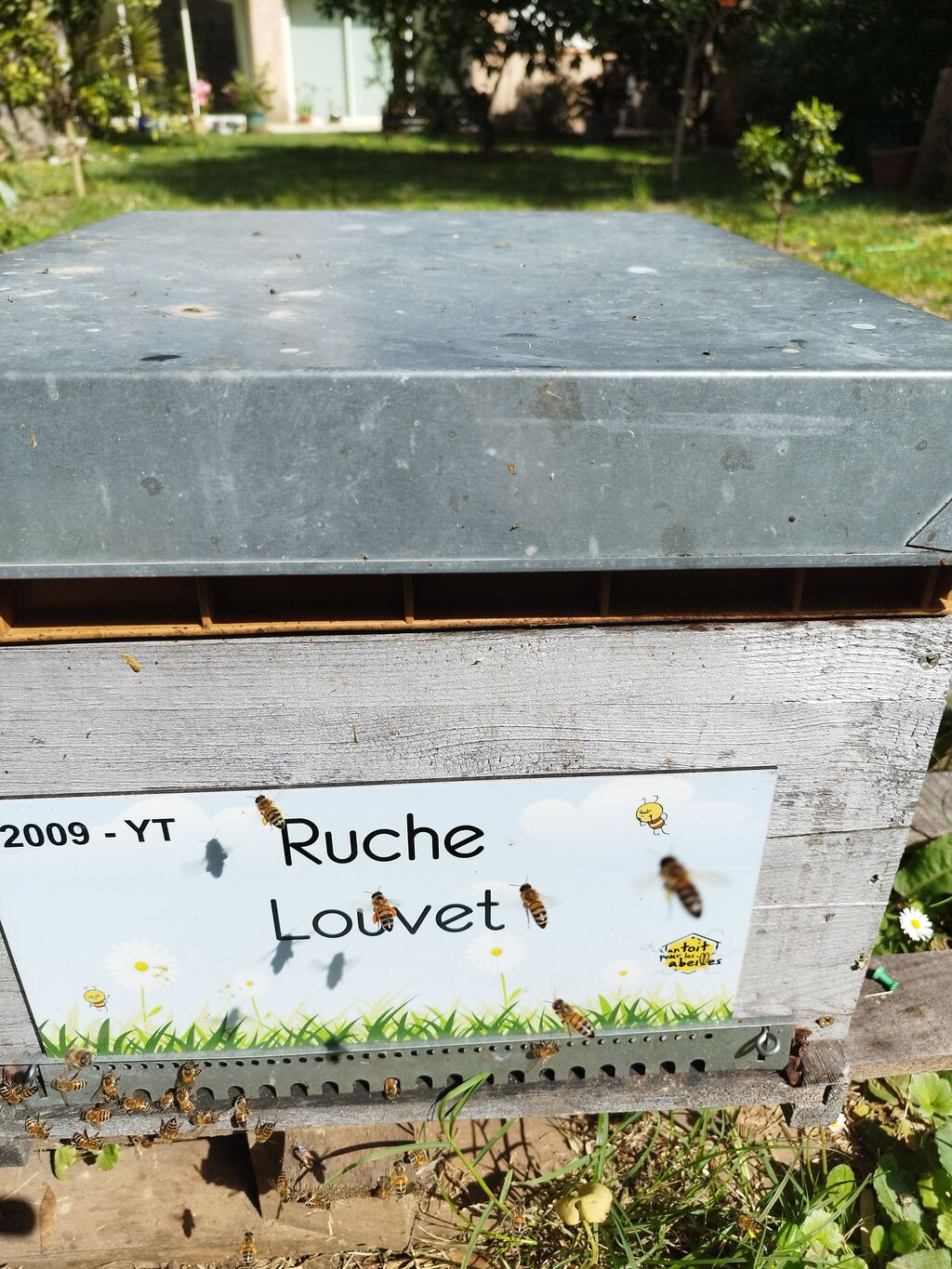 La ruche Louvet