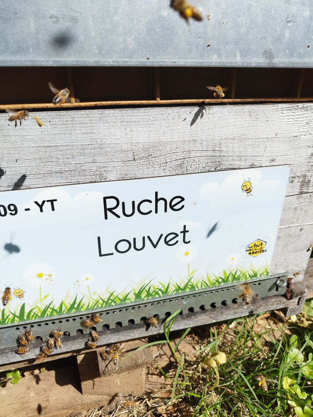 La ruche Louvet