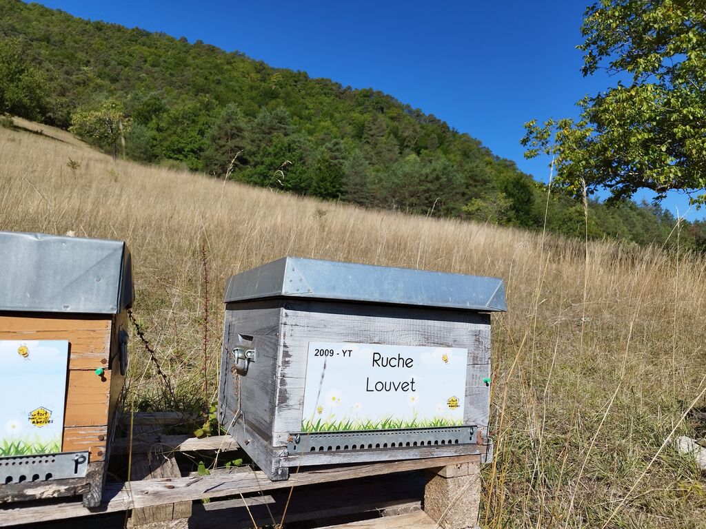 La ruche Louvet