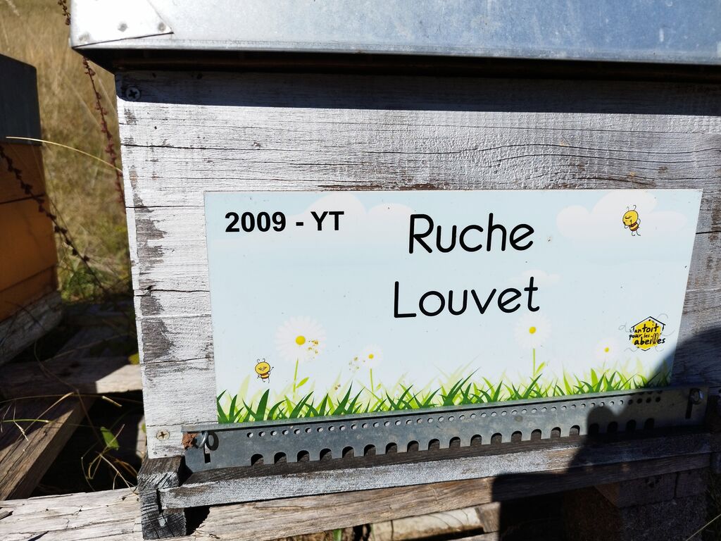 La ruche Louvet