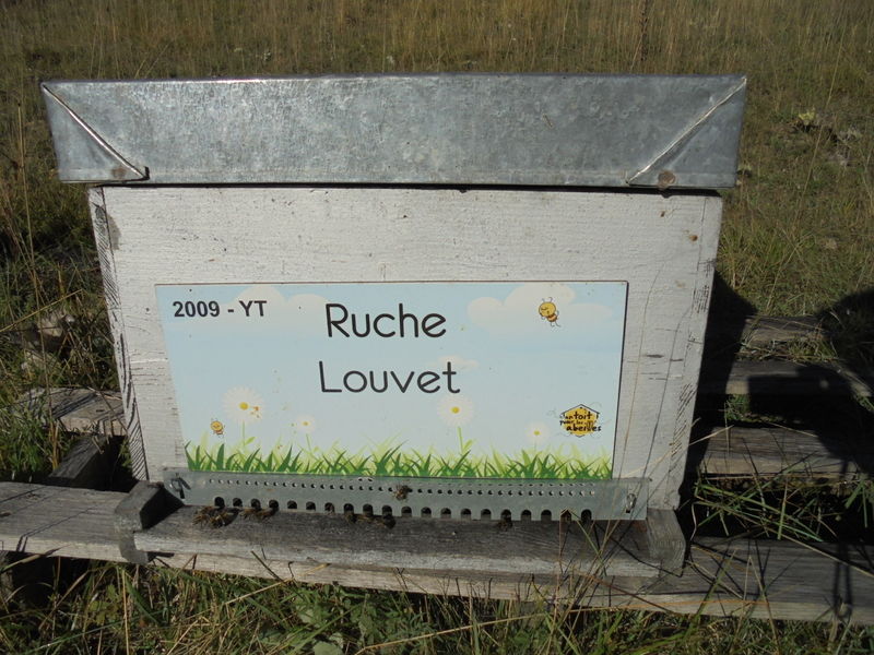 La ruche Louvet
