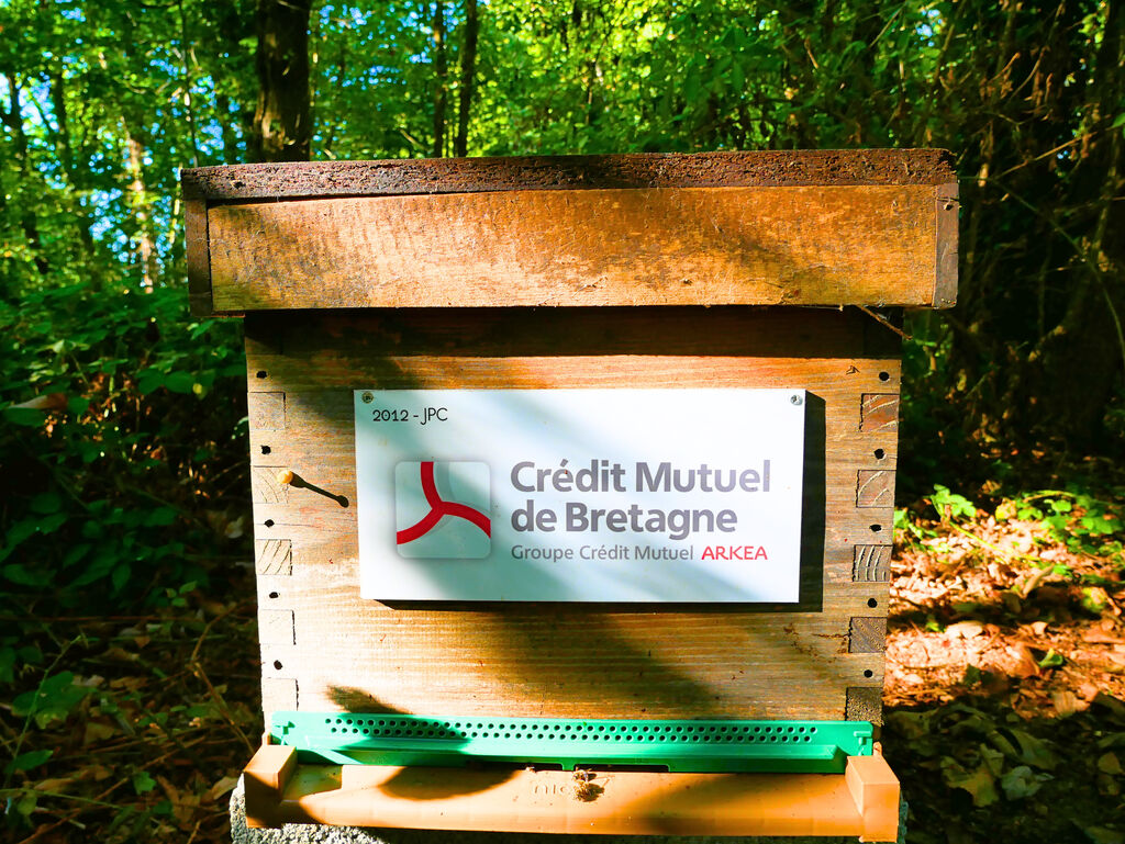 La ruche CREDIT MUTUEL DE BRETAGNE