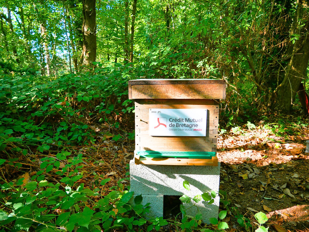 La ruche CREDIT MUTUEL DE BRETAGNE