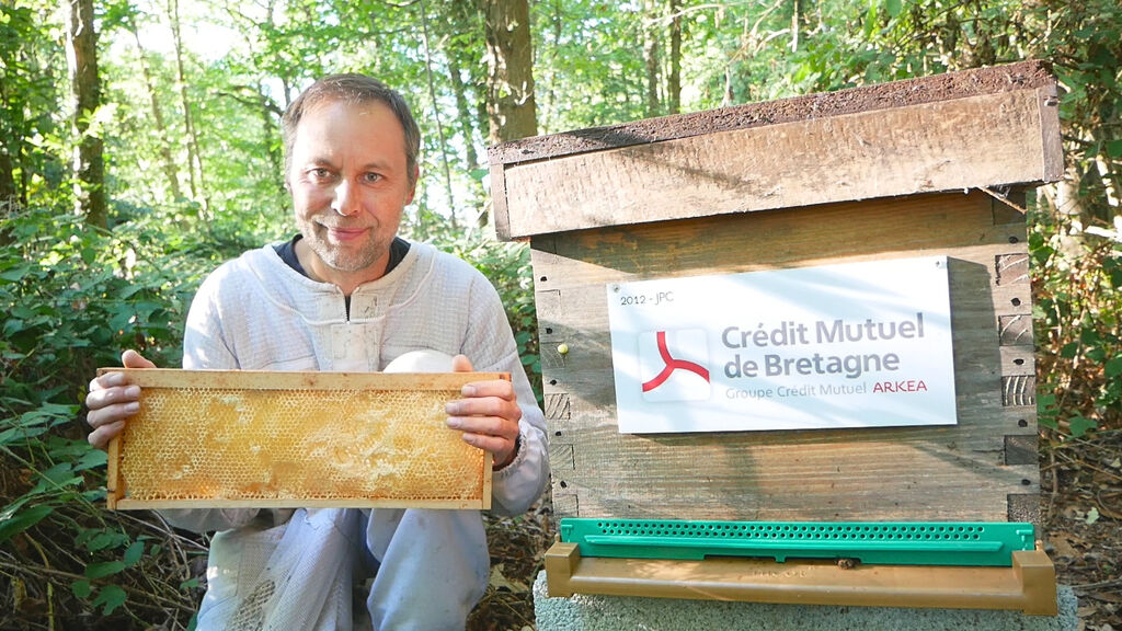 La ruche CREDIT MUTUEL DE BRETAGNE