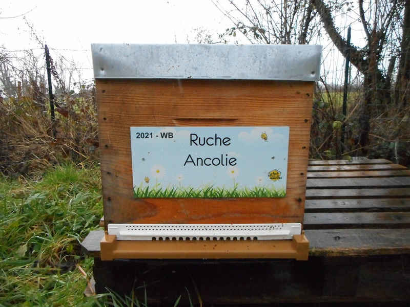 La ruche