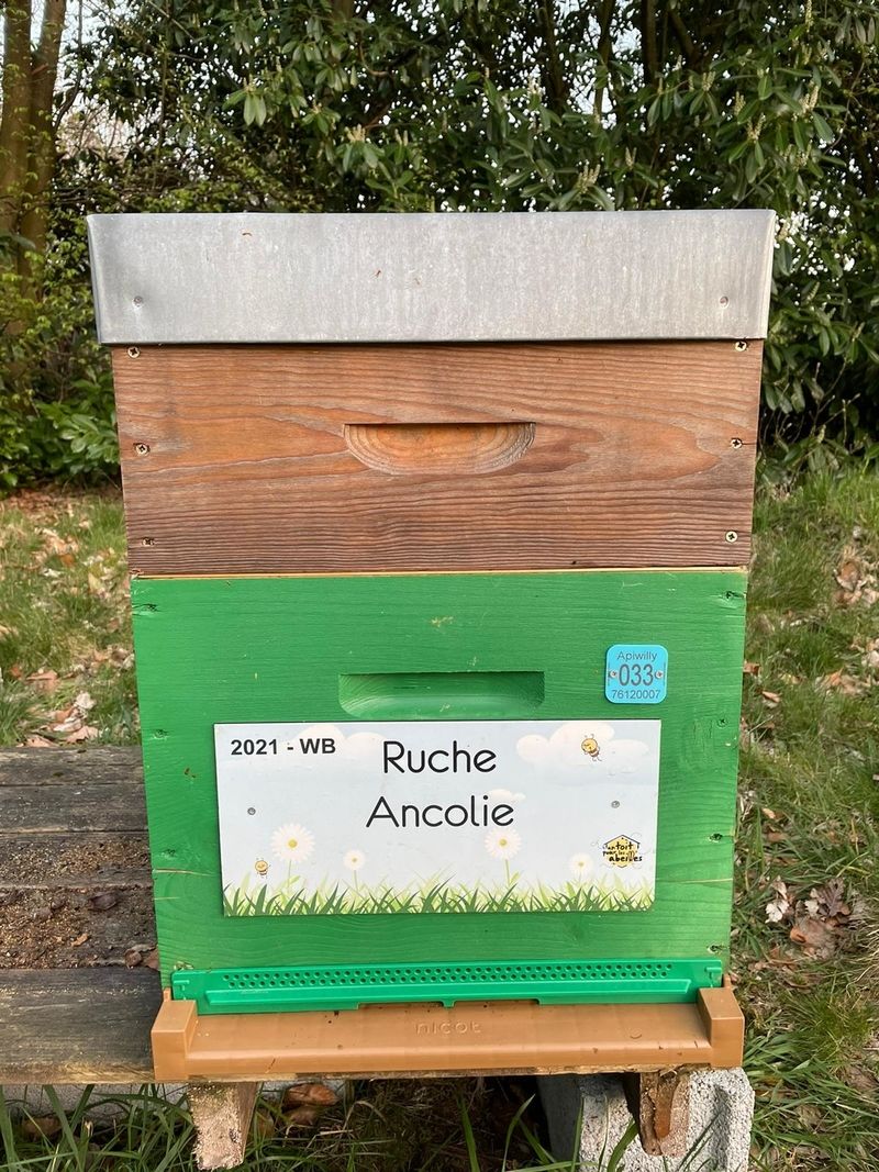 La ruche