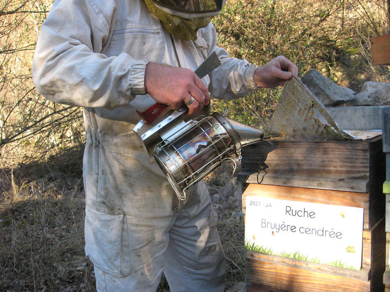 La ruche Bruyère cendrée