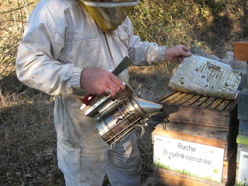 La ruche Bruyère cendrée