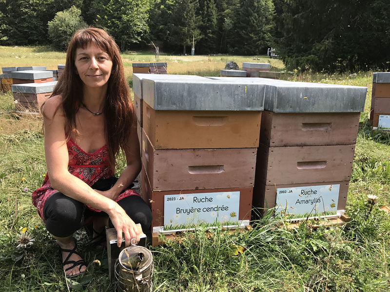 La ruche Bruyère cendrée
