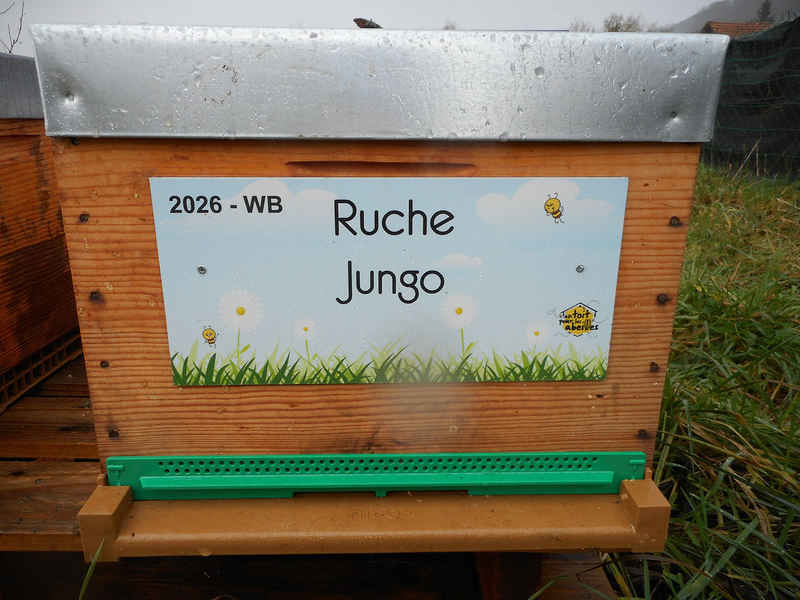 La ruche
