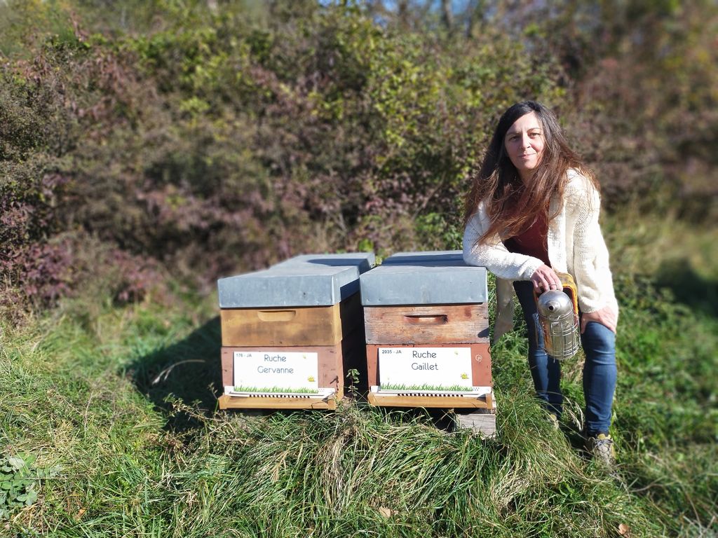 La ruche Gaillet