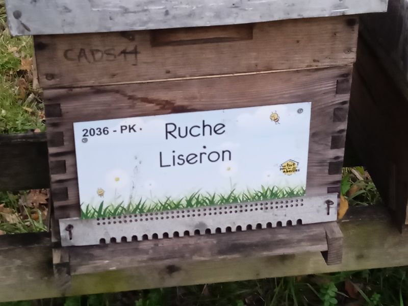 La ruche Liseron