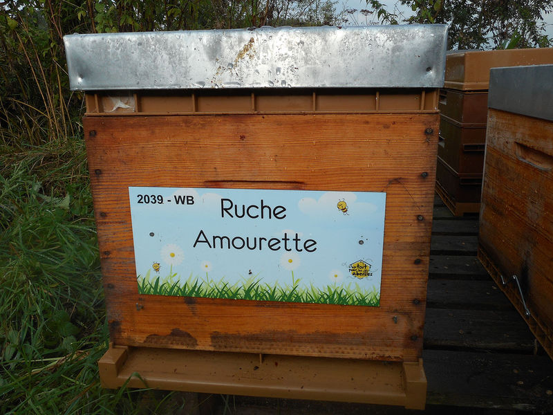 La ruche Amourette