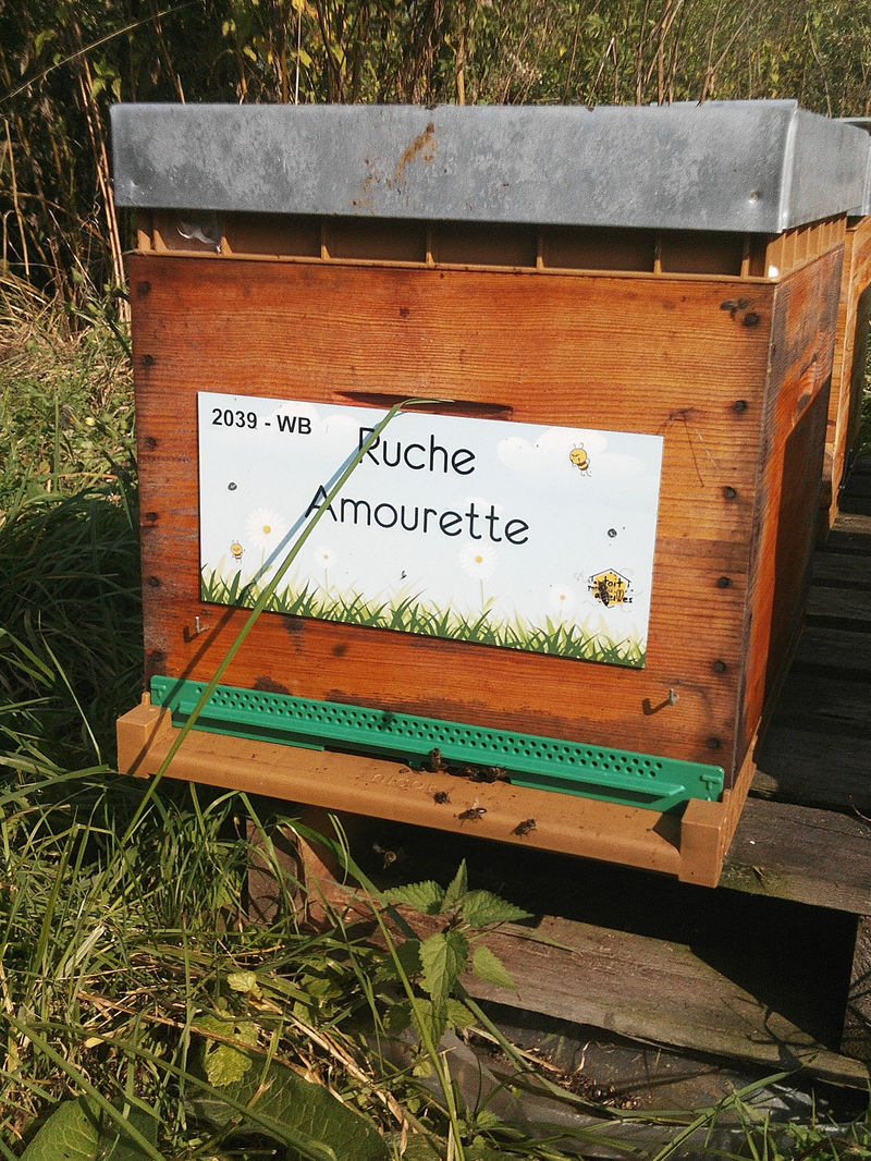 La ruche Amourette