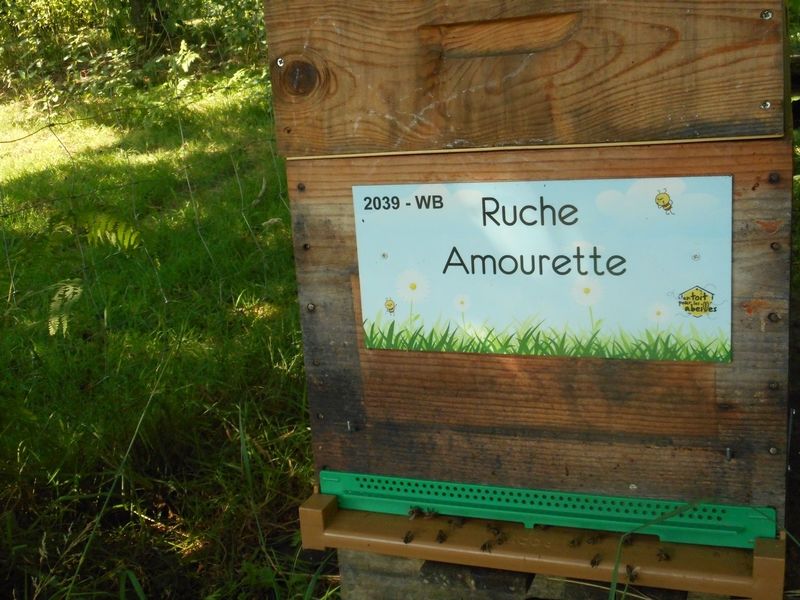 La ruche Amourette