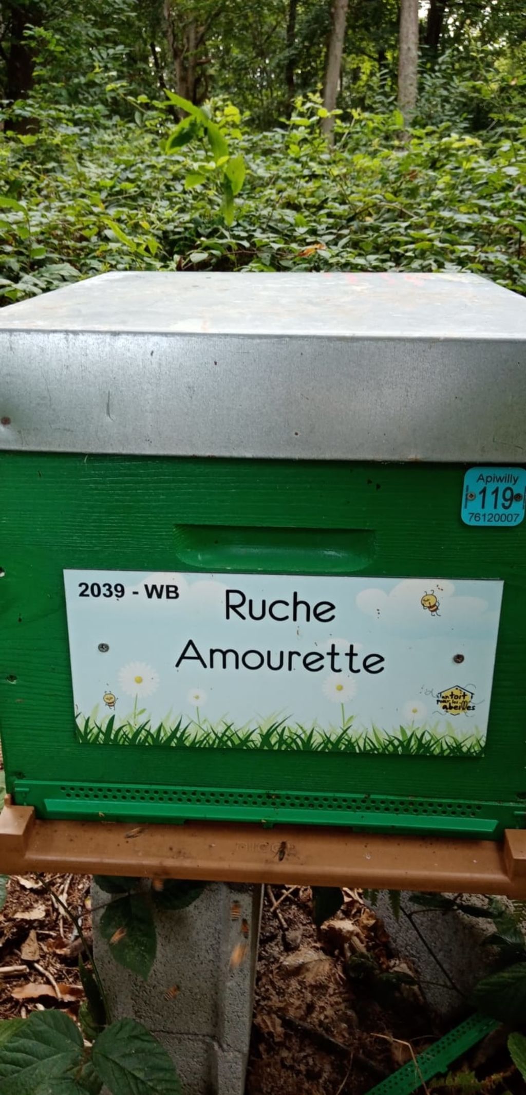 La ruche Amourette