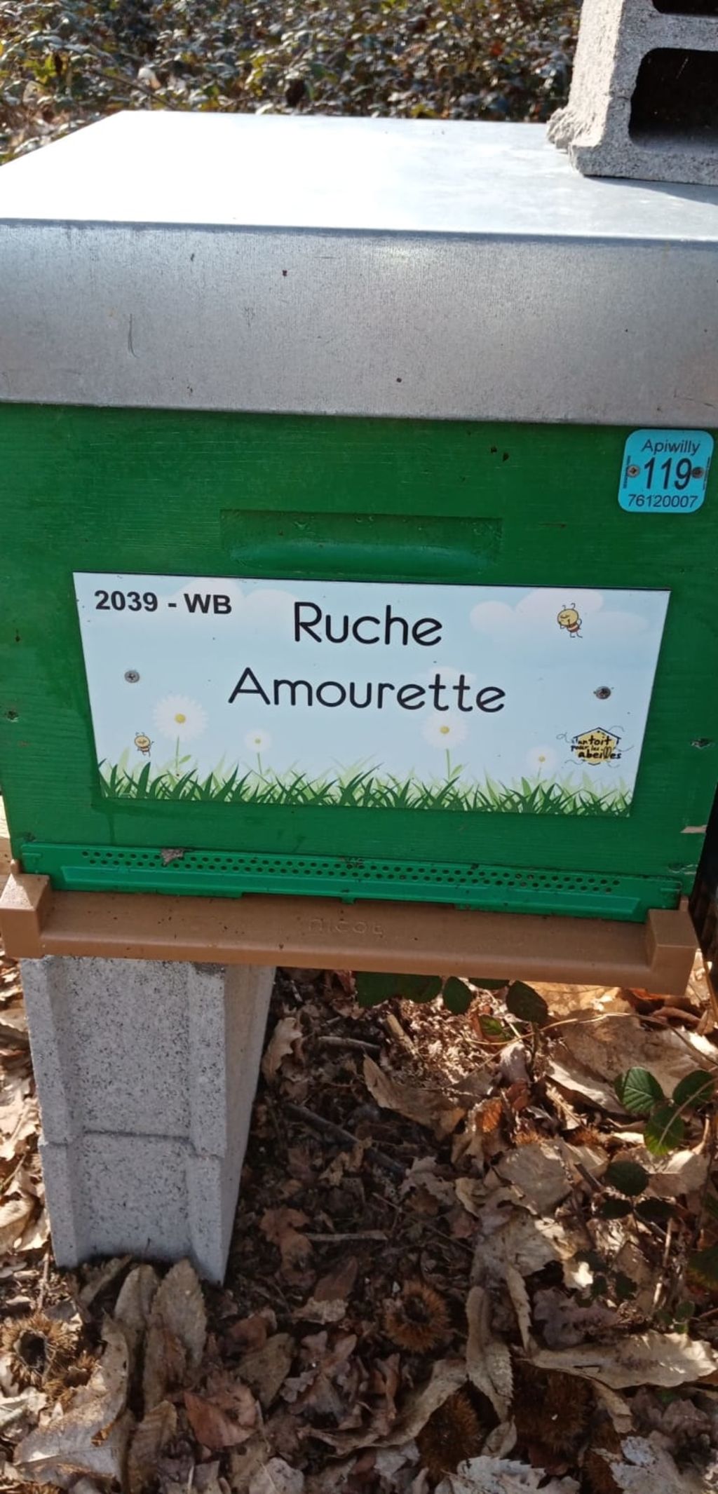 La ruche Amourette