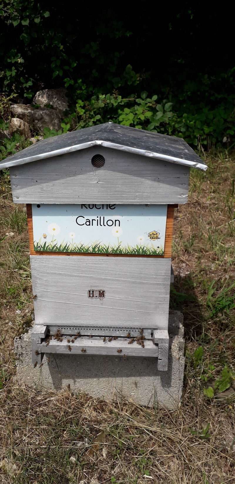 La ruche Carillon