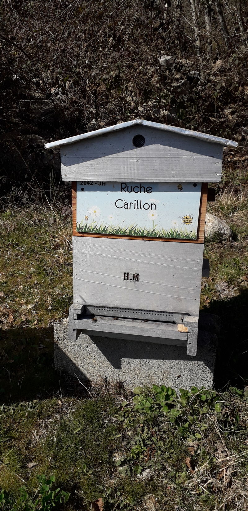 La ruche Carillon