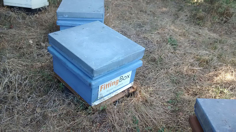 La ruche Fittingbox