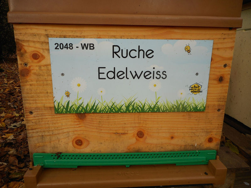 La ruche Edelweiss