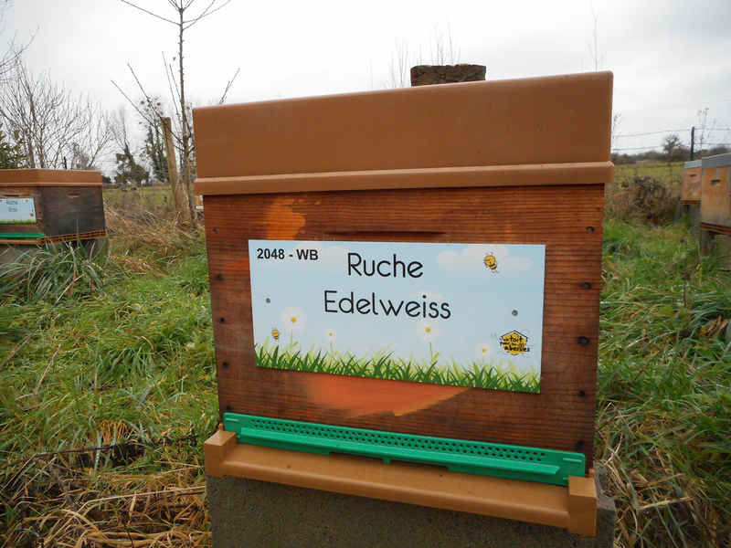 La ruche