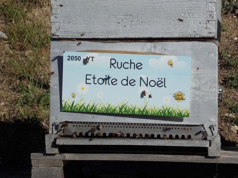 La ruche