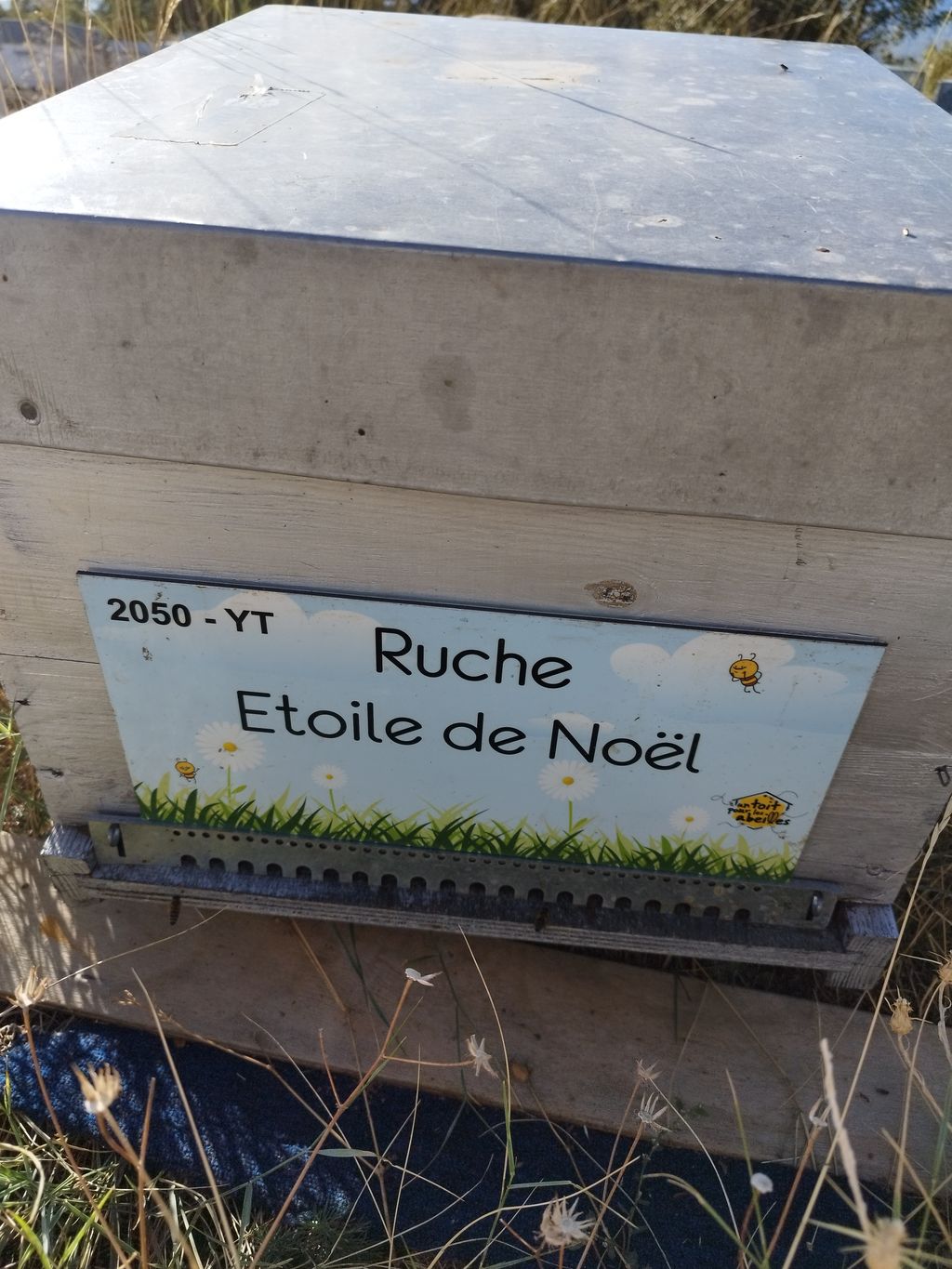 La ruche Etoile de Noel