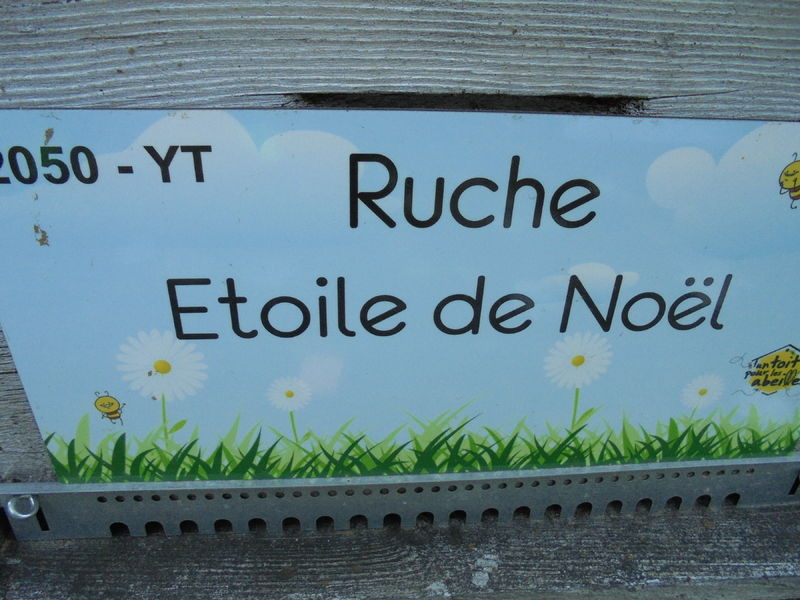 La ruche Etoile de Noel