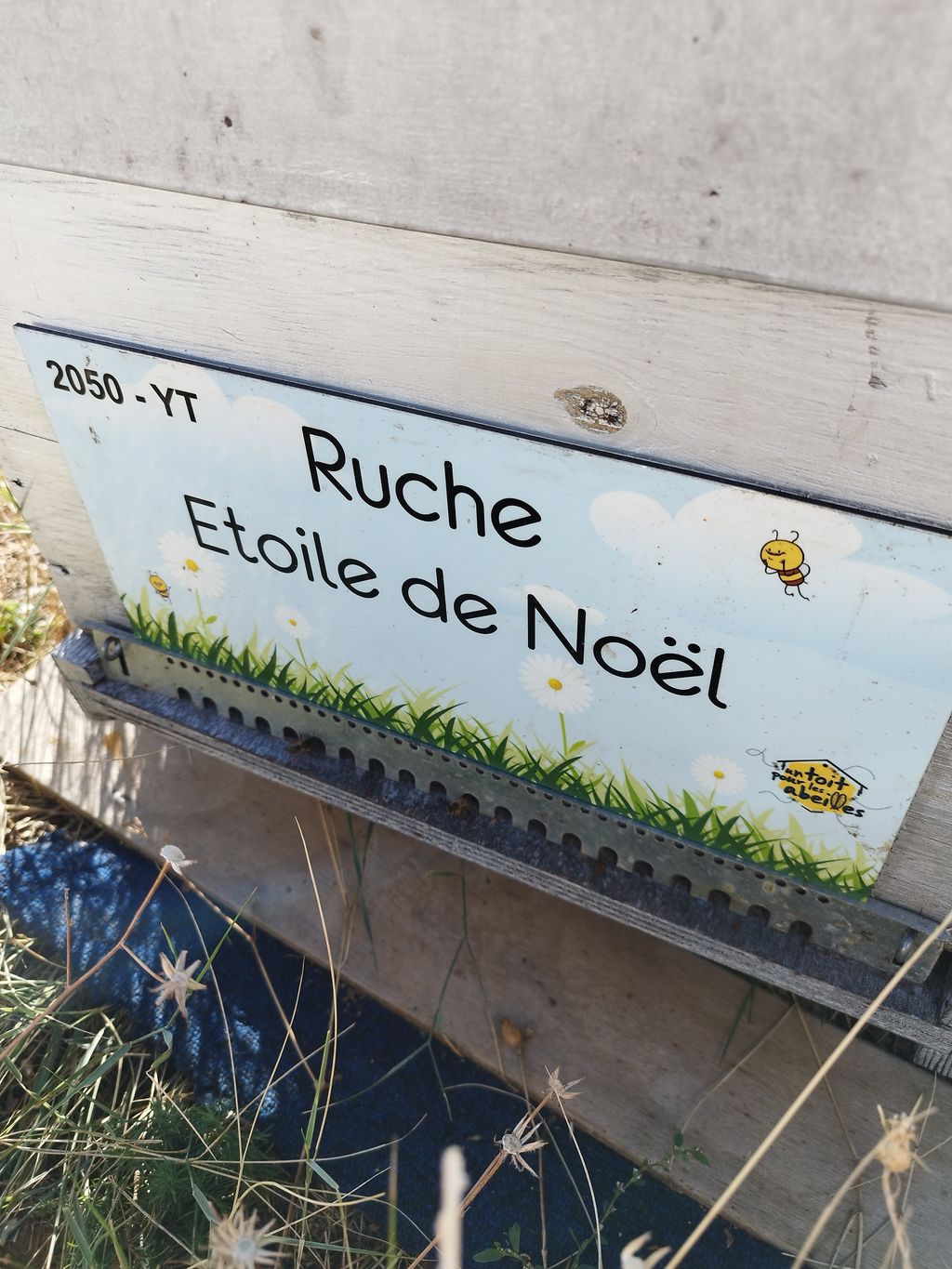 La ruche Etoile de Noel