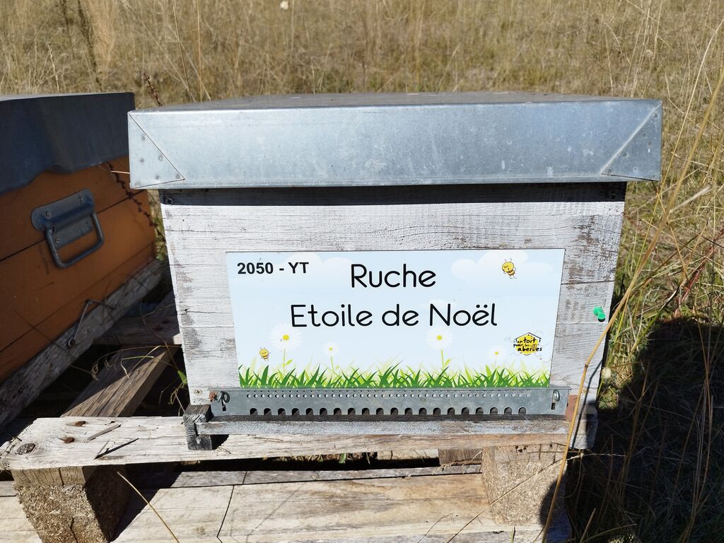 La ruche Etoile de Noel