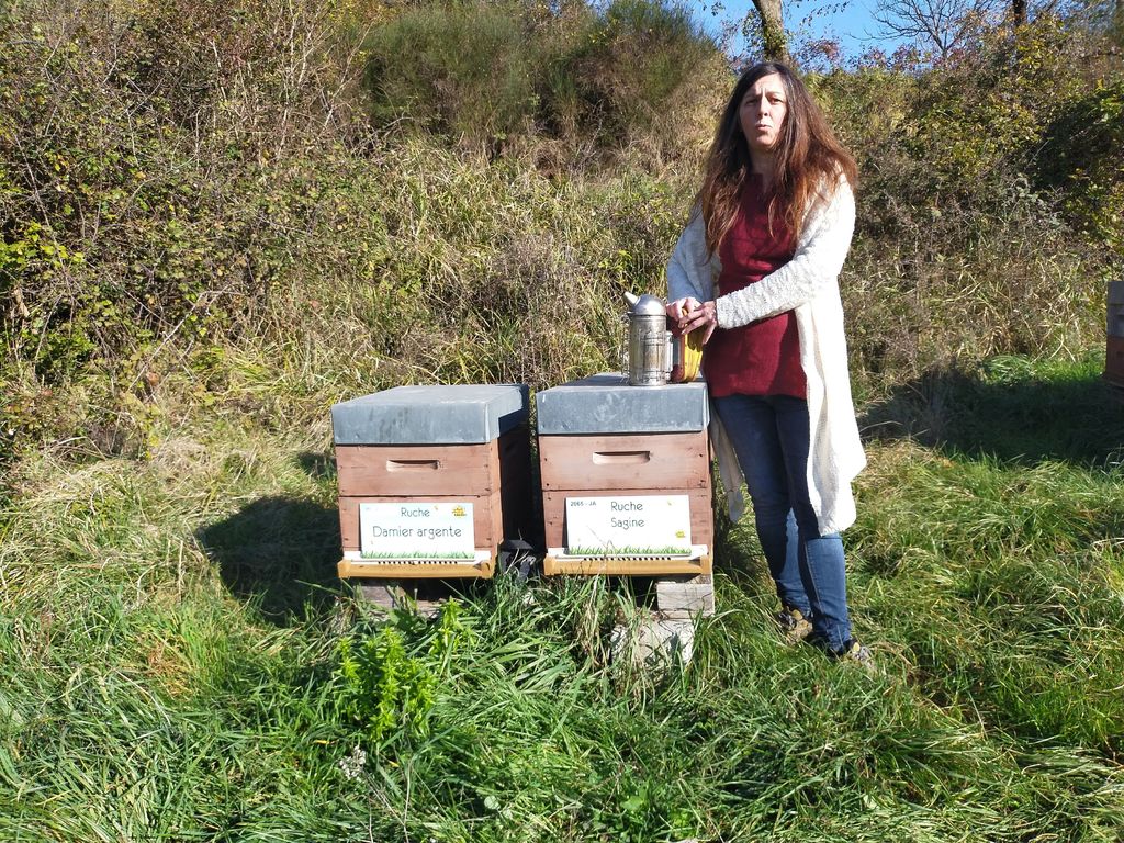 La ruche Sagine