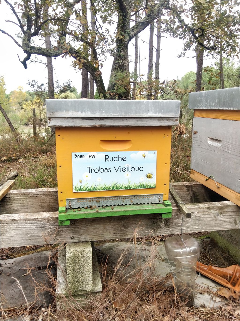 La ruche Trobas Vieilbuc