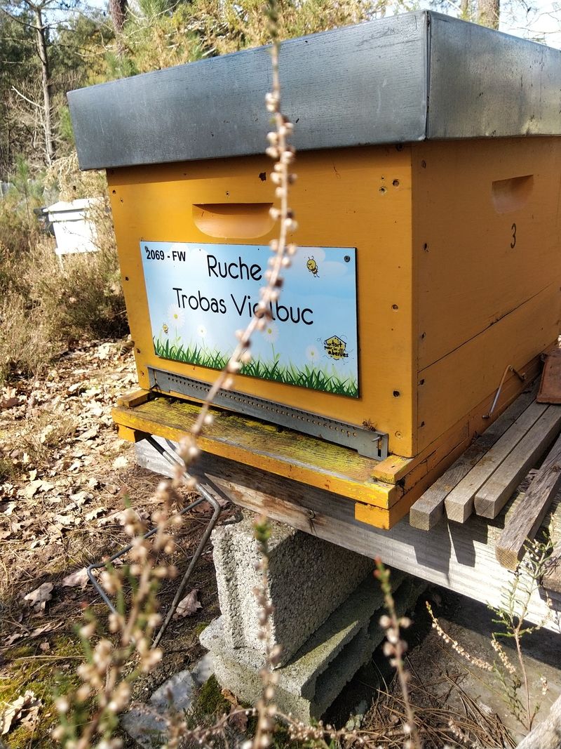 La ruche Trobas Vieilbuc