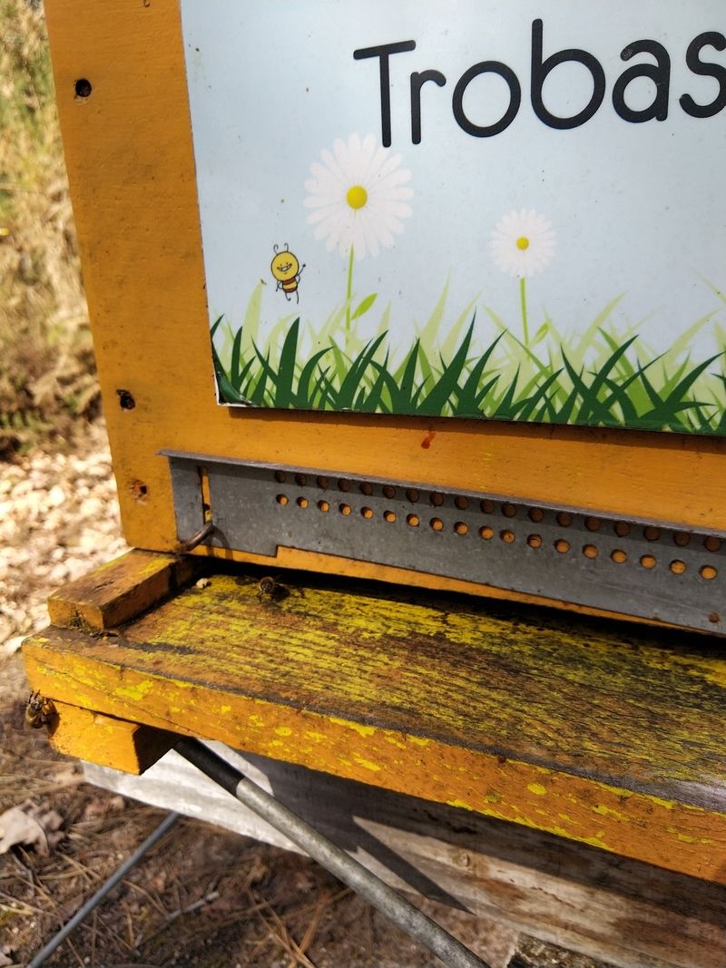 La ruche Trobas Vieilbuc