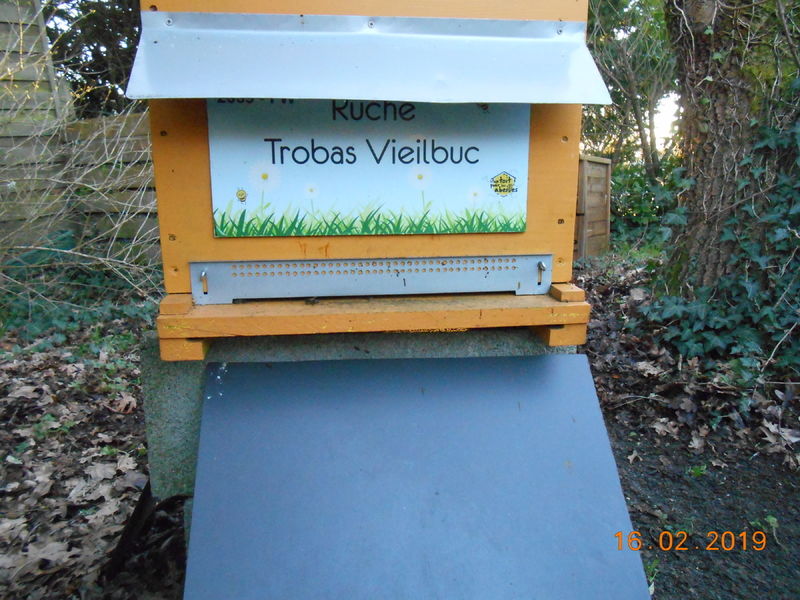 La ruche Trobas Vieilbuc