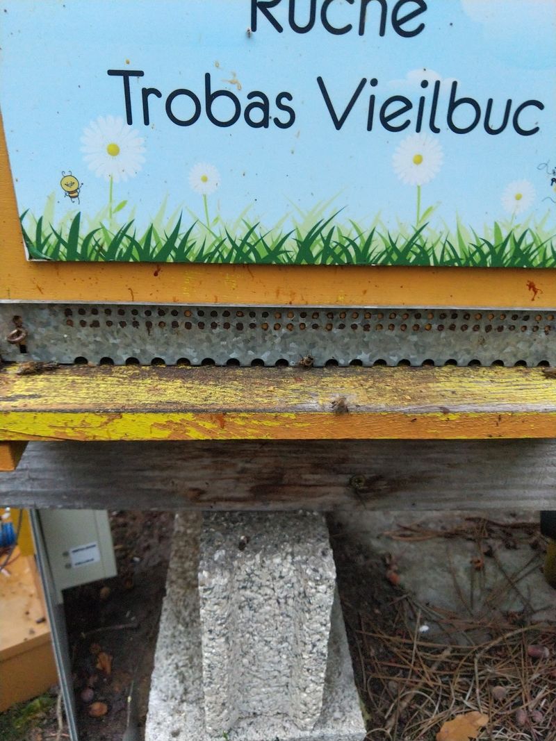 La ruche Trobas Vieilbuc